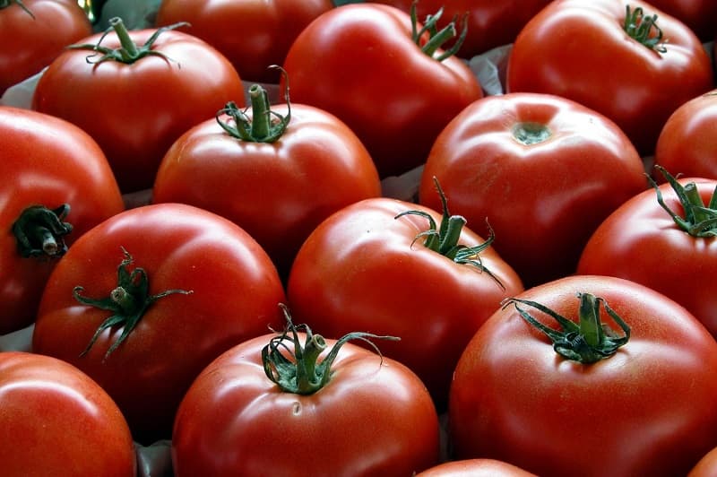 گوجه فرنگی امروز مشهد تنها با این قیمت فروش می روند